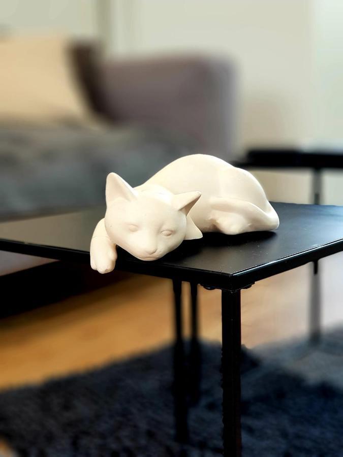 Le Chat D'Or - 35M2 - Terrasse - Bbq - Wifi Hd อาเมียงส์ ภายนอก รูปภาพ